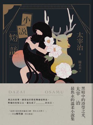 cover image of 小說燈籠